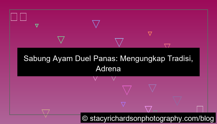 gambar sabung ayam duel panas