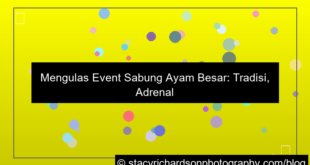 ilustrasi sabung ayam event besar