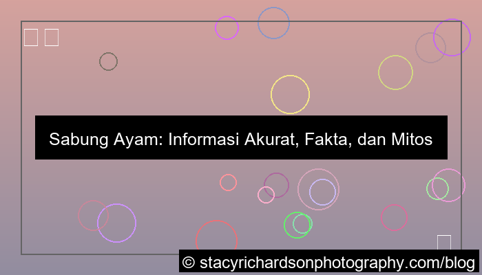 sabung ayam info akurat