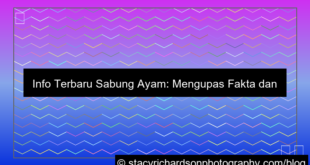 visual sabung ayam info terbaru