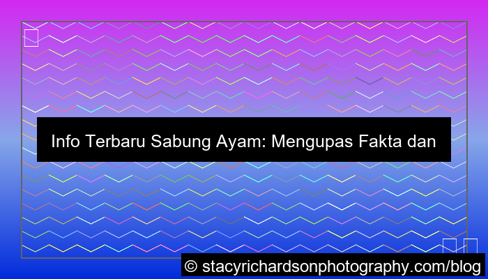 visual sabung ayam info terbaru