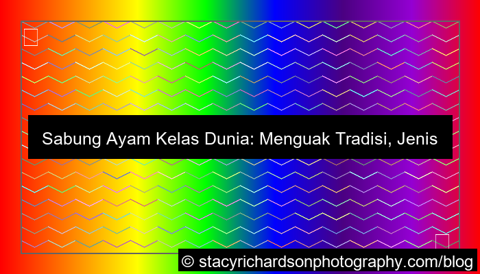 grafik sabung ayam kelas dunia