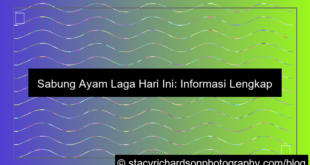 ilustrasi sabung ayam laga hari ini