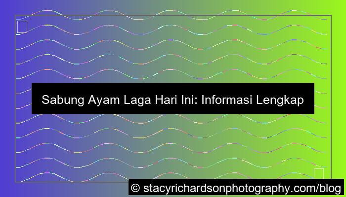 ilustrasi sabung ayam laga hari ini