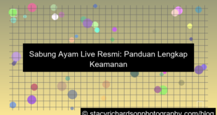 sabung ayam live resmi