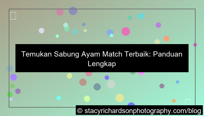 visual sabung ayam match terbaik