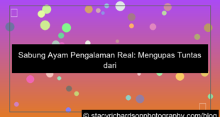 grafik sabung ayam pengalaman real