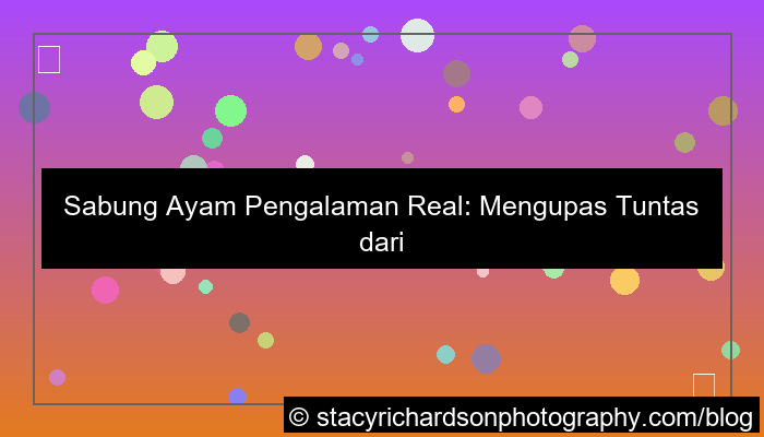 grafik sabung ayam pengalaman real