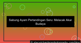 sabung ayam pertandingan seru