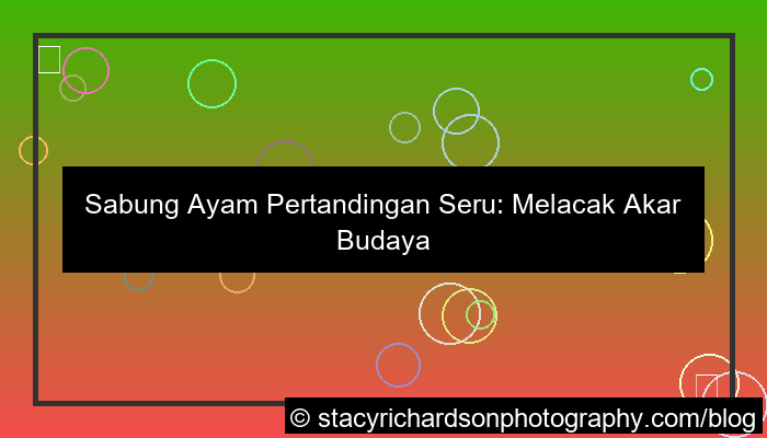 sabung ayam pertandingan seru