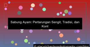 sabung ayam pertarungan sengit