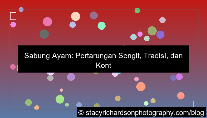 sabung ayam pertarungan sengit