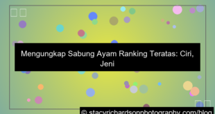 visual sabung ayam ranking teratas