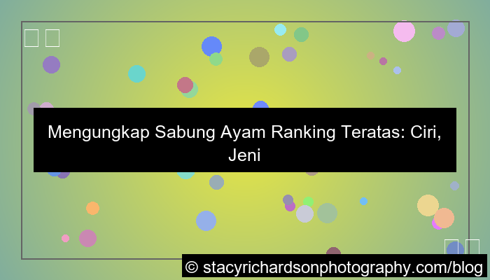 visual sabung ayam ranking teratas