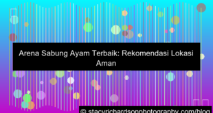 sabung ayam rekomendasi arena