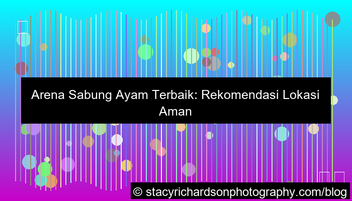 sabung ayam rekomendasi arena