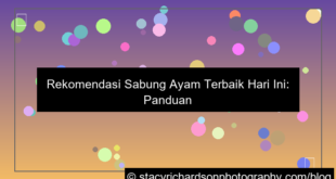 sabung ayam rekomendasi hari ini