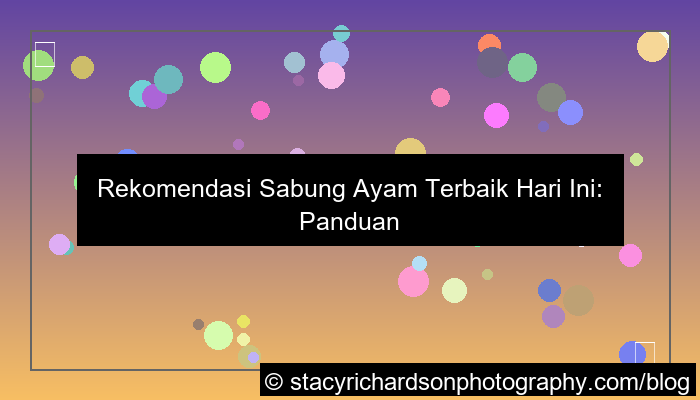 sabung ayam rekomendasi hari ini