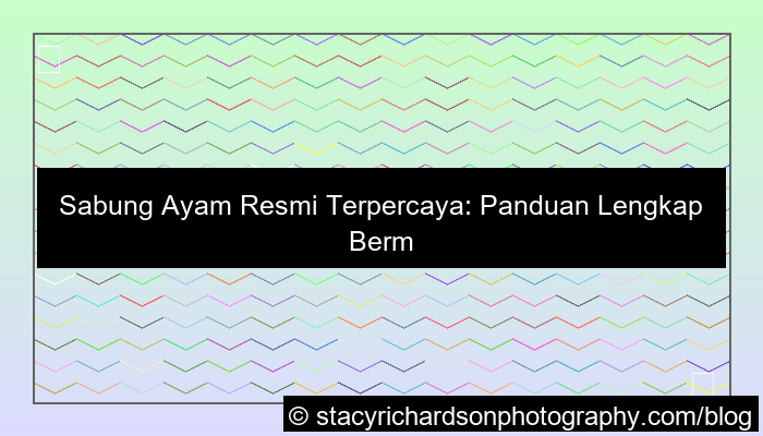 visual sabung ayam resmi terpercaya