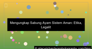 visual sabung ayam sistem aman