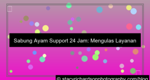 sabung ayam support 24 jam