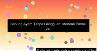 ilustrasi sabung ayam tanpa gangguan