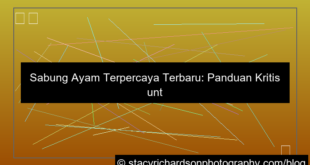 sabung ayam terpercaya terbaru