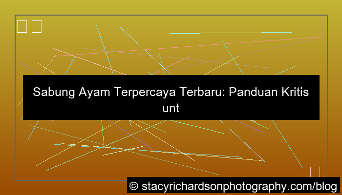 sabung ayam terpercaya terbaru