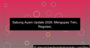 sabung ayam update 2026
