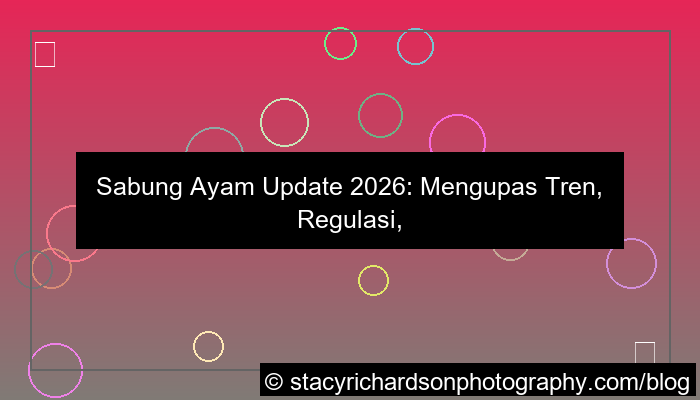 sabung ayam update 2026