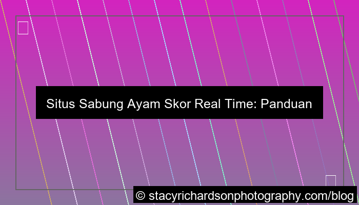 desain situs sabung ayam skor real time