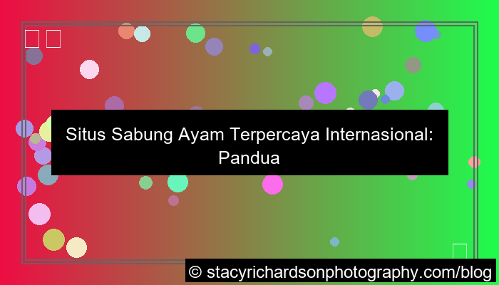 situs sabung ayam terpercaya internasional