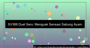 visual sv388 duel seru