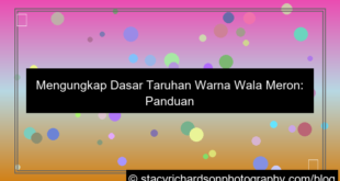 visual wala meron dasar taruhan warna