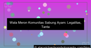 wala meron komunitas sabung ayam