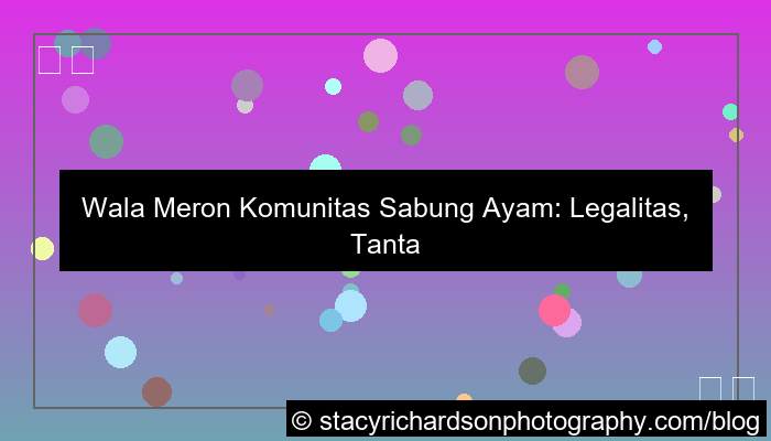 wala meron komunitas sabung ayam