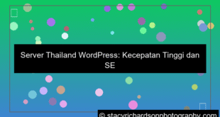 visual server thailand wordpress