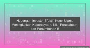 Hubungan Investor Efektif