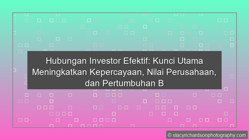 Hubungan Investor Efektif