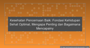 Kesehatan Pencernaan Baik