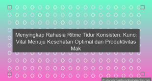 Ritme Tidur Konsisten
