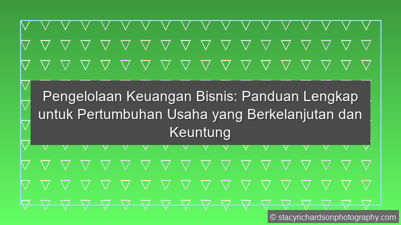 Pengelolaan Keuangan Bisnis